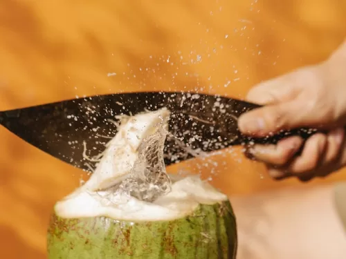 Kokos, hlavní ingredience na kokosový dezert