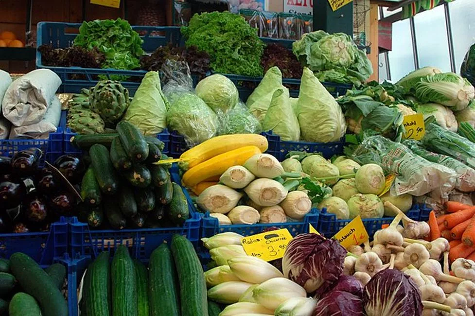 10 druhů sezónní zeleniny, které byste v červnovém měsíci určitě neměli přehlédnout