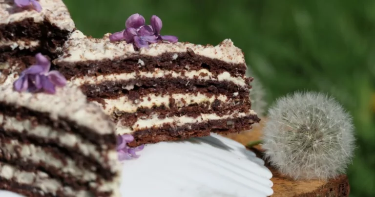 Obrázek receptu na pusinkový vrstvený dort.