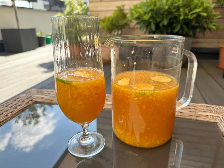 Recept na Domácí Mangové Ice Tea