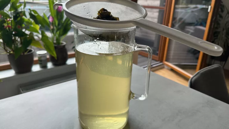 Recept na domácí mátový sirup