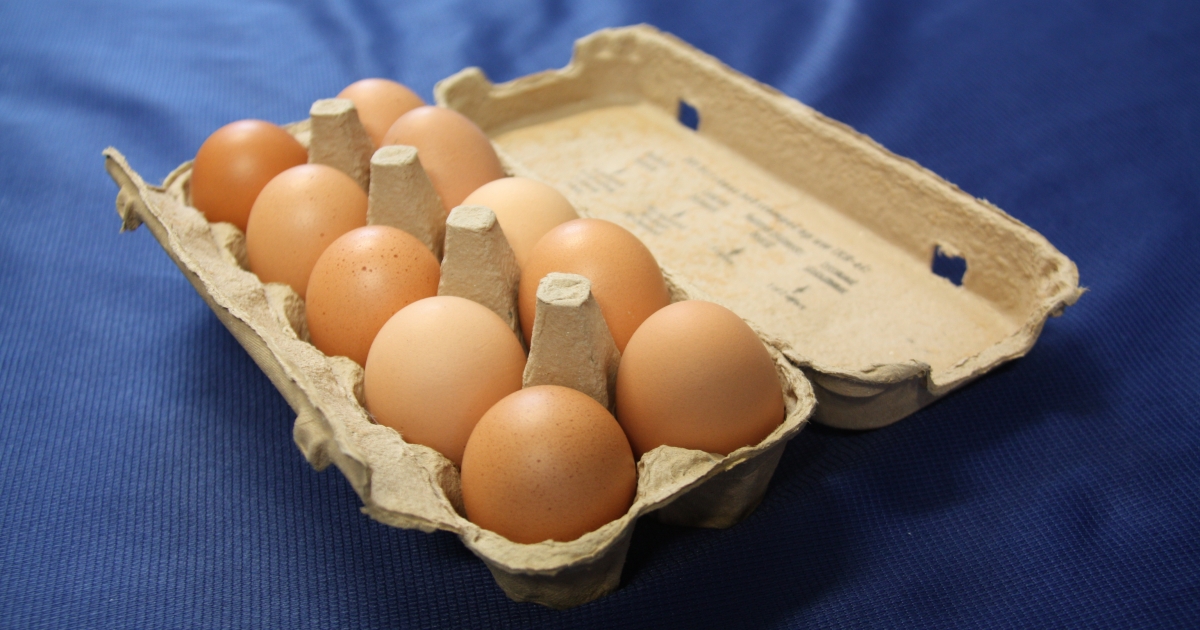 Obrázek k receptu: Pukavec v lednici: Víte, jak jej odhalit a zároveň ušetřit své čichové buňky zážitku z rozbití zkaženého vejce?