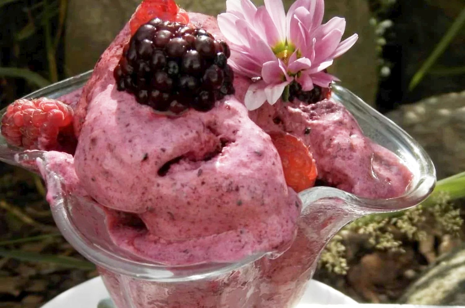 Obrázek receptu na domácí borůvkovou zmrzlinu.