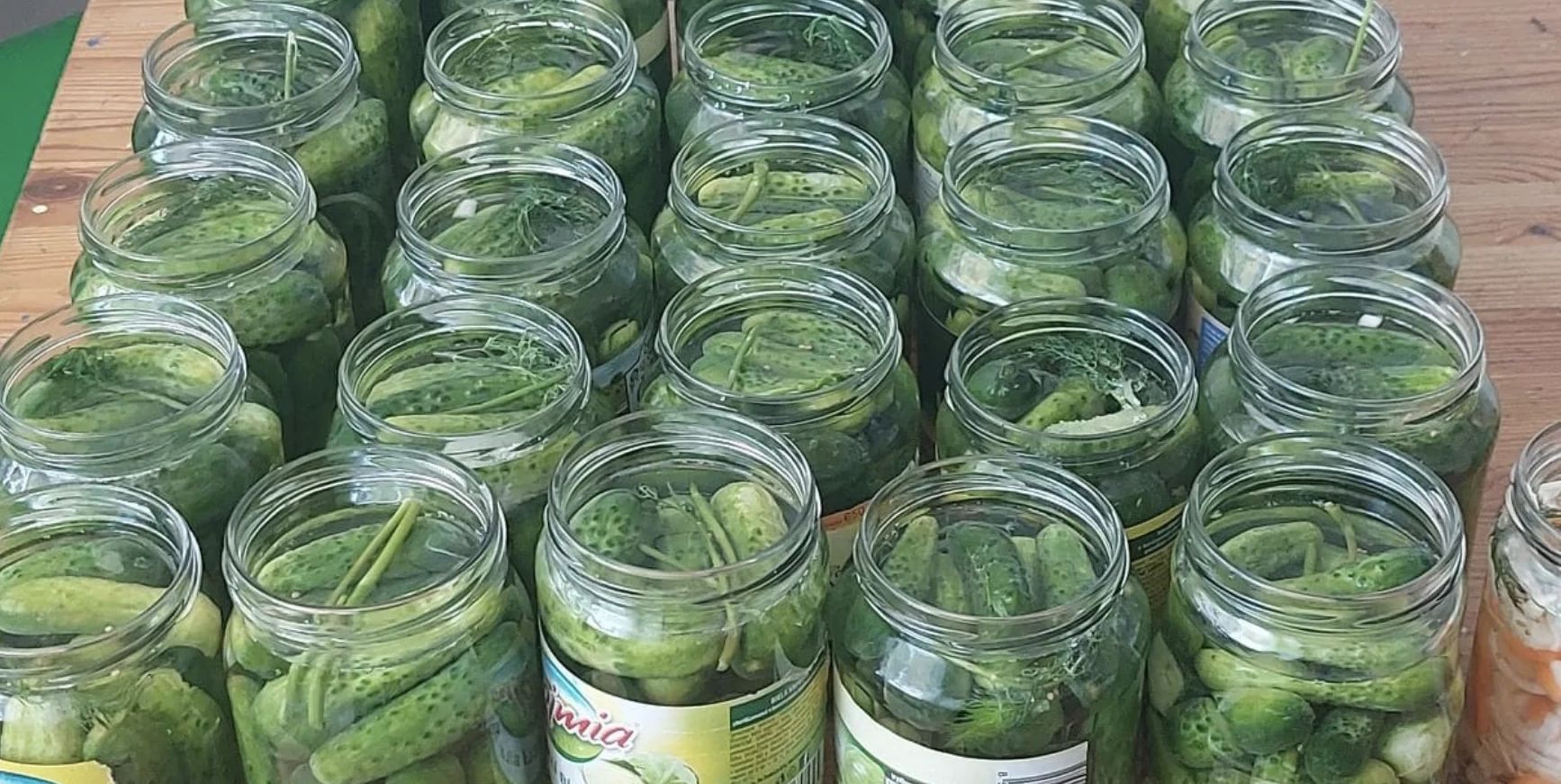 Obrázek k receptu na nakládané okurky bez nálevu