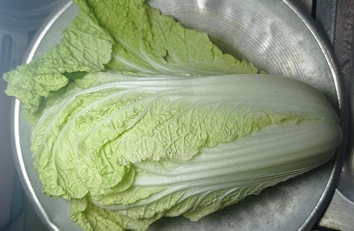 Obrázek k receptu: Čínské zelí s výrazem: salát, který budete do lednice chodit ujídat!