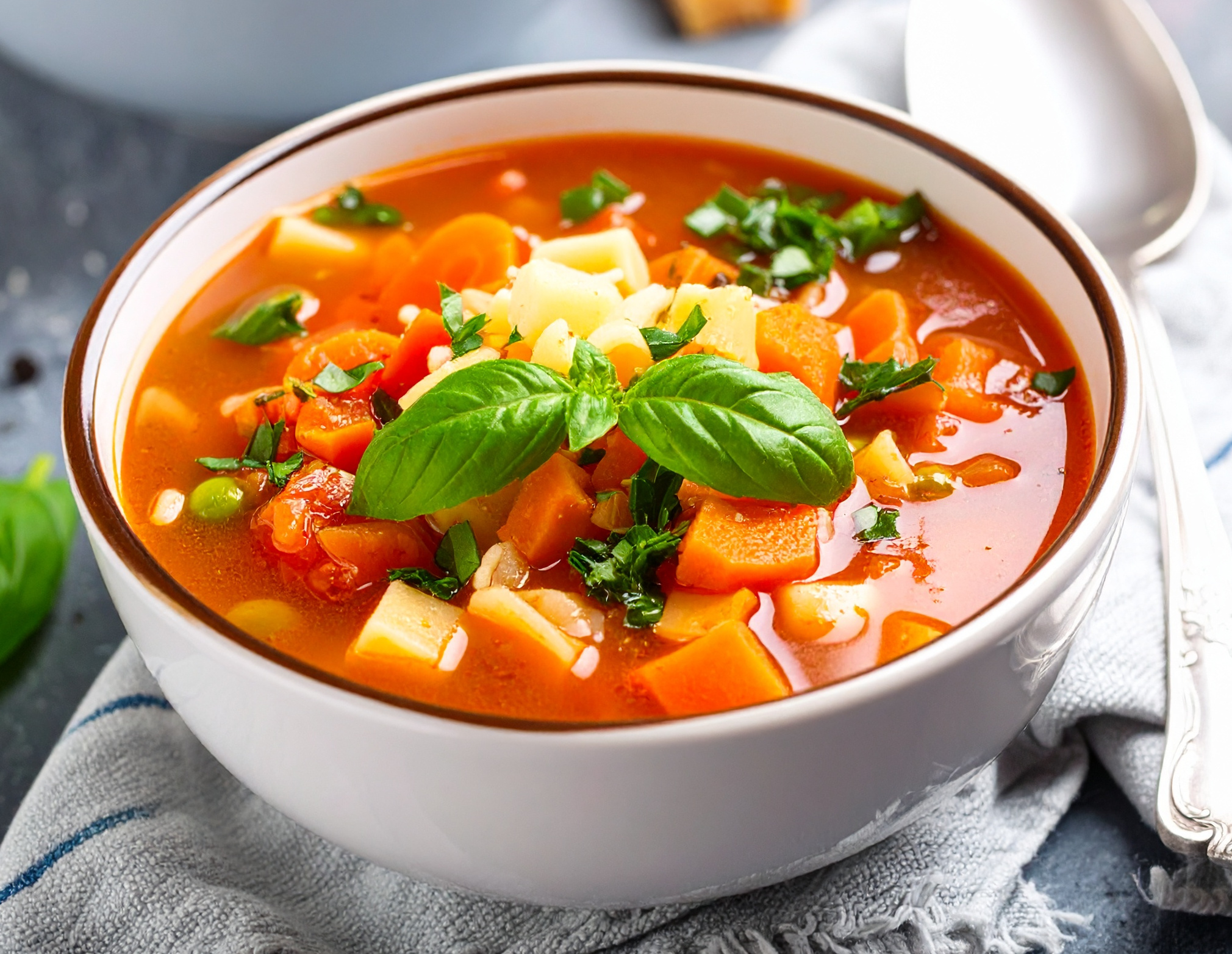 Obrázek k receptu na italskou polévky Minestrone