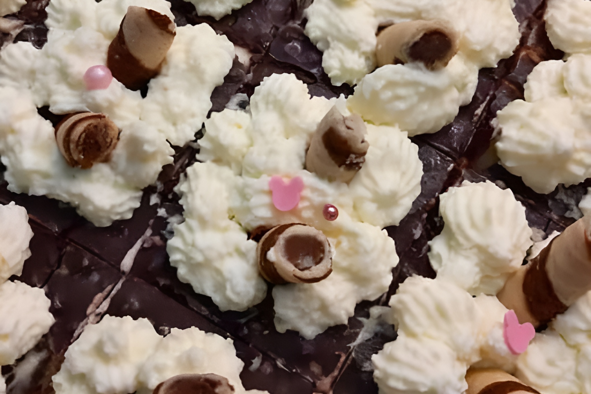 Obrázek k receptu kokosovo-čokoládové eskymo řezy