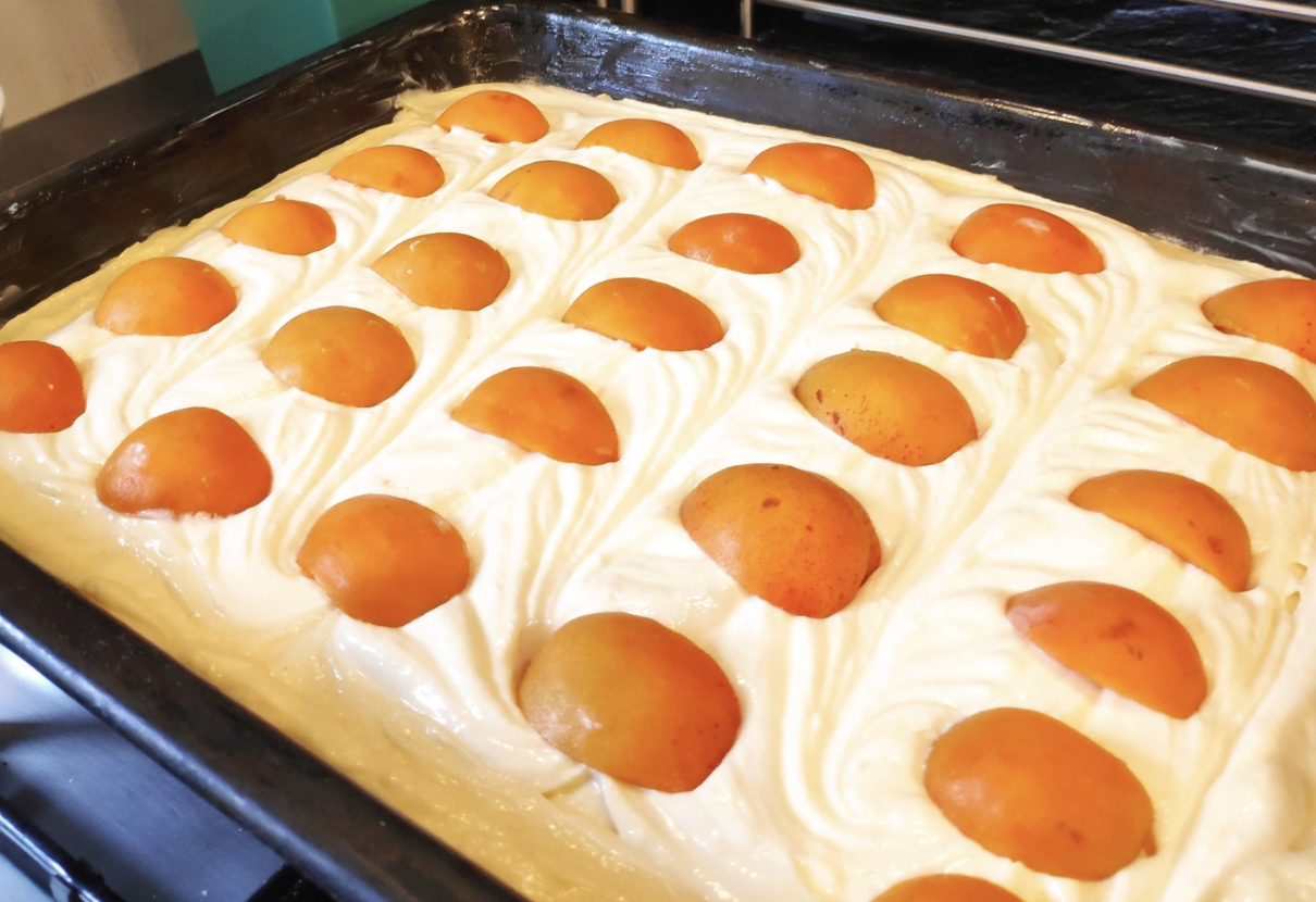 Obrázek k receptu na hrnkovou buchtu s meruňkami