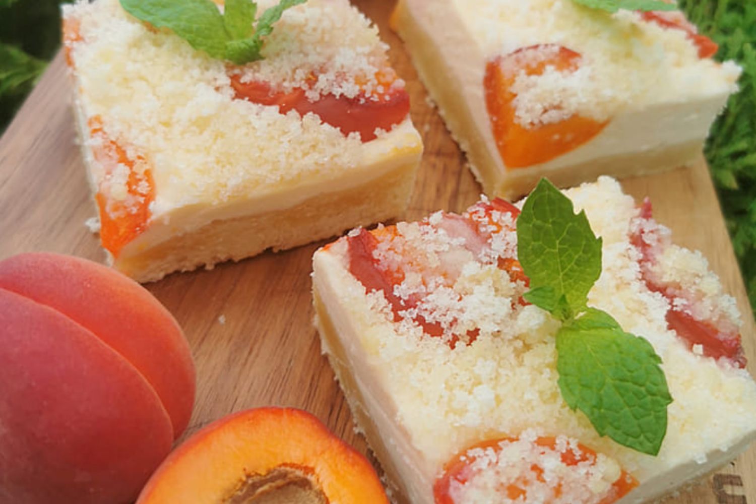 Obrázek receptu na Zcela jednoduchou a prostou tvarohovou buchtu s meruňkami, vonící sluncem, létem v sadě a domácí pohodou