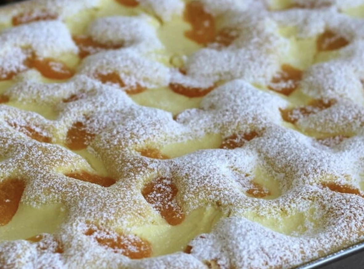 Obrázek k receptu na tvarohovou buchtu s mandarinkami