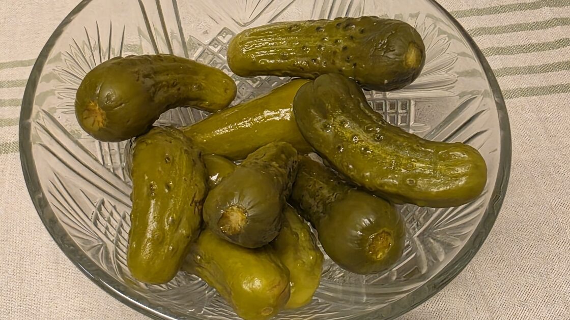Fotografie zavařených okurek